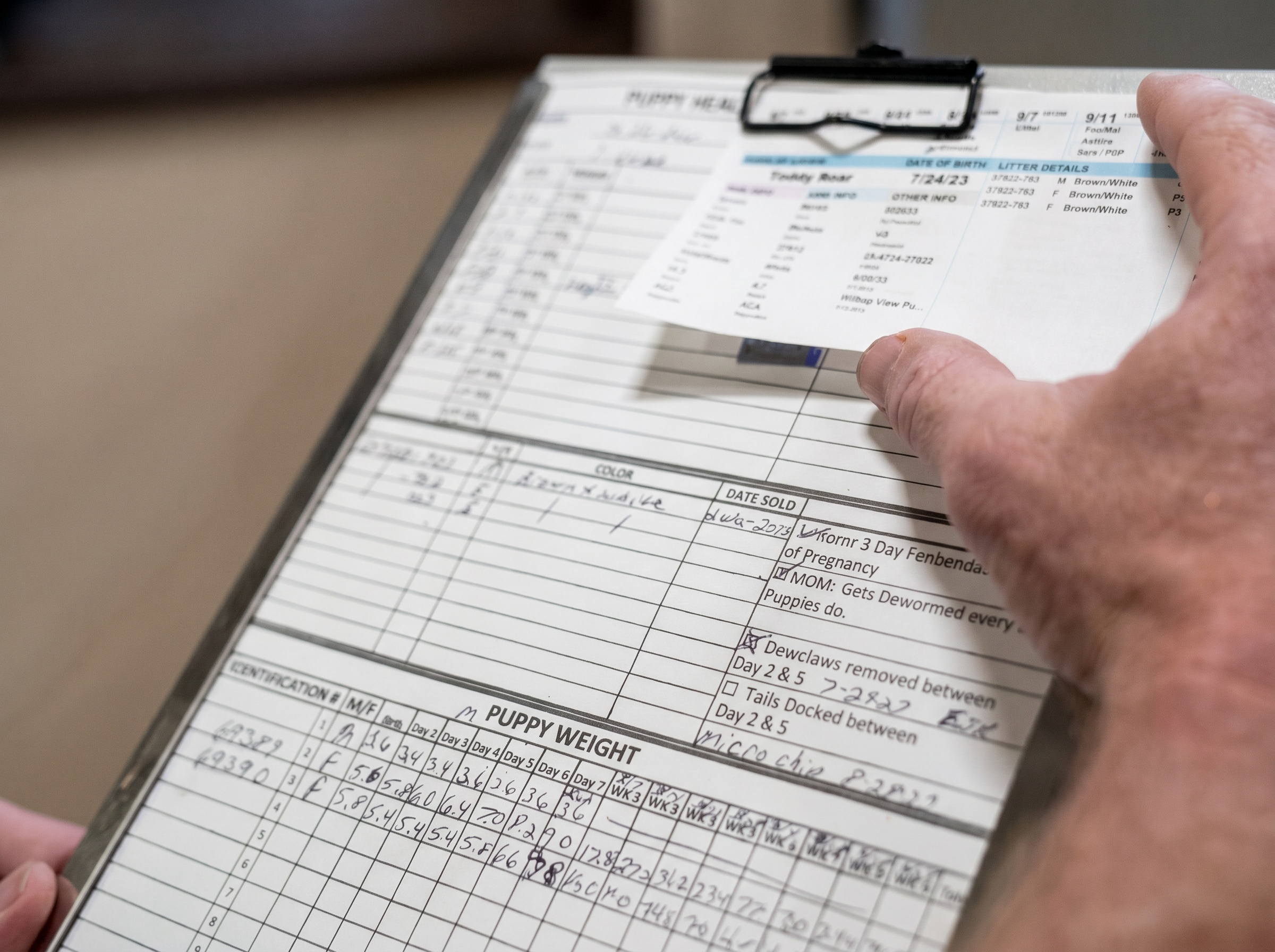 Structured documentation and development tracking for each Fairfield Furbabies litter