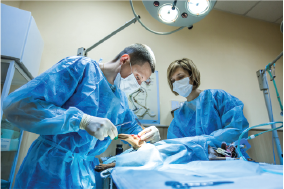 Dog receiving emergency veterinary treatment