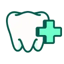 Every adult tooth covered icon
