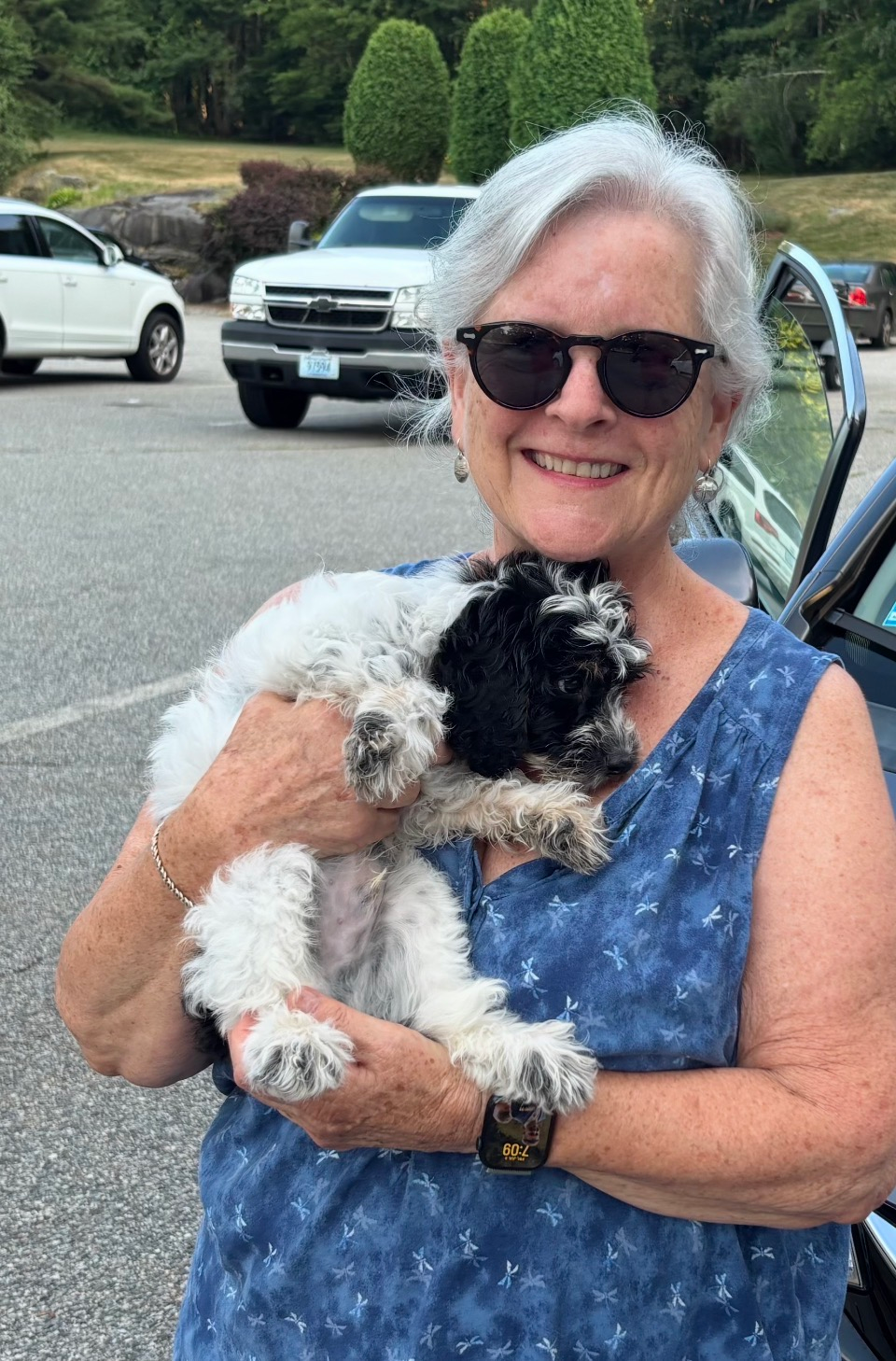 Smart Cockapoo Poodle Mix Pup
