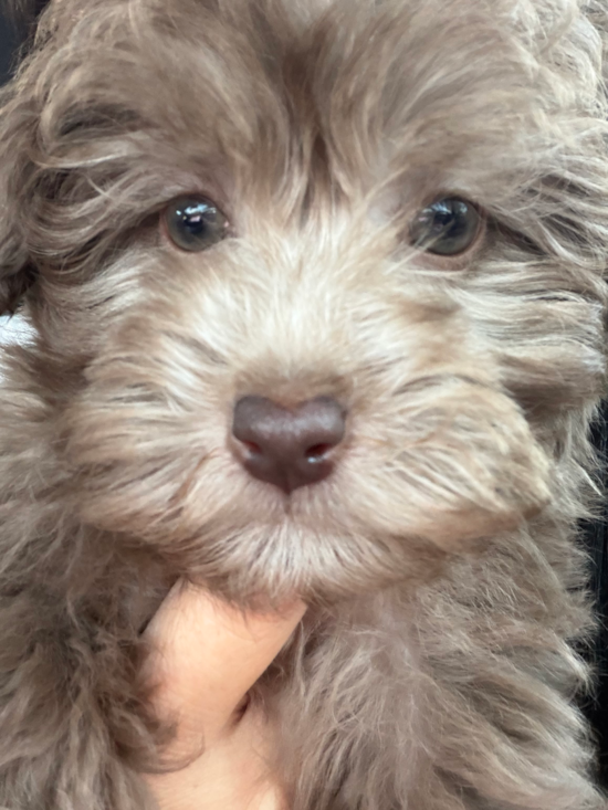 Winnie June Valencia