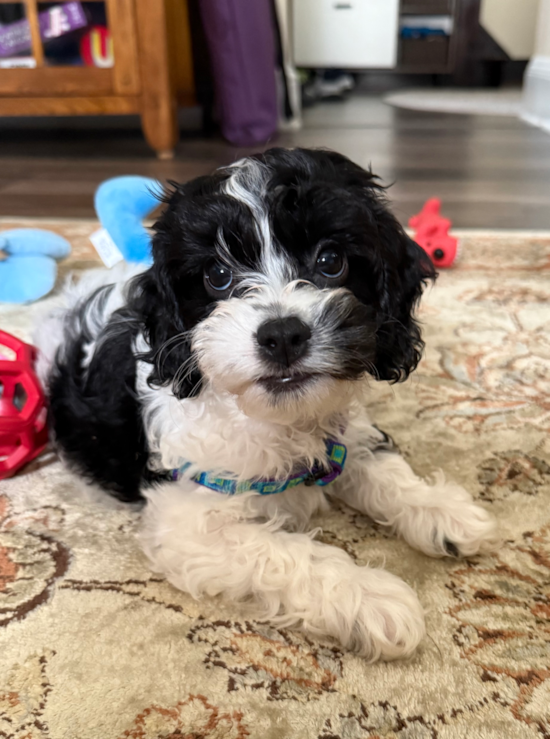 Maggie