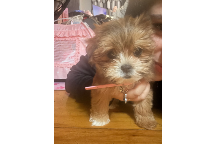 Best Teddy Bear Baby