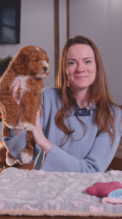 Fairfield Furbabies A 10 year health guarantee isn’t just a nice extra. It’s a reflection of how we raise our puppies from day one. 🐶💛