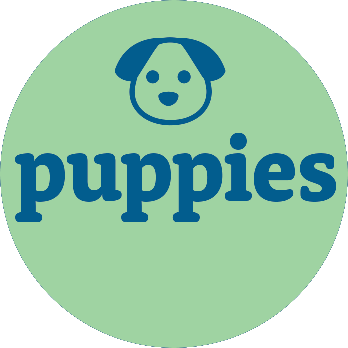 View All Puppies For Sale - Fairfield Furbabies
