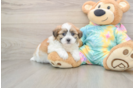 Best Teddy Bear Baby